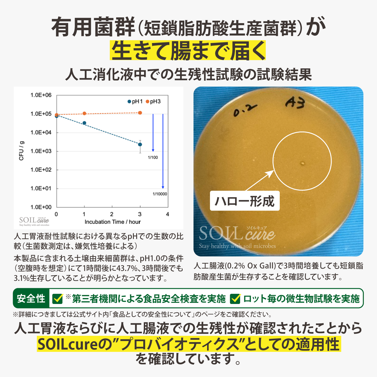 土壌細菌群サプリメント SOILcureパウダー(15g入り/75日分 土壌細菌群サプリメント SOILcureパウダー(15g入り/75日分