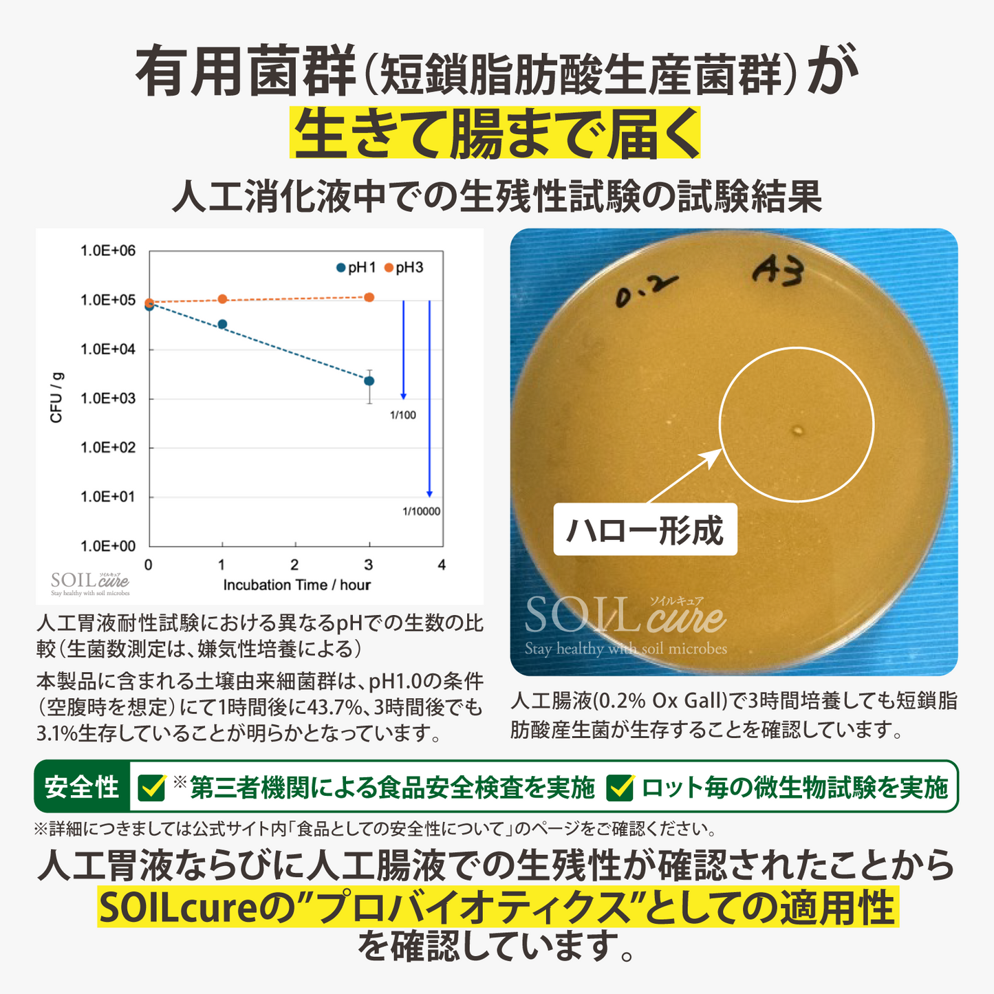 土壌細菌群サプリメント SOILcureパウダー(15g入り/75日分）