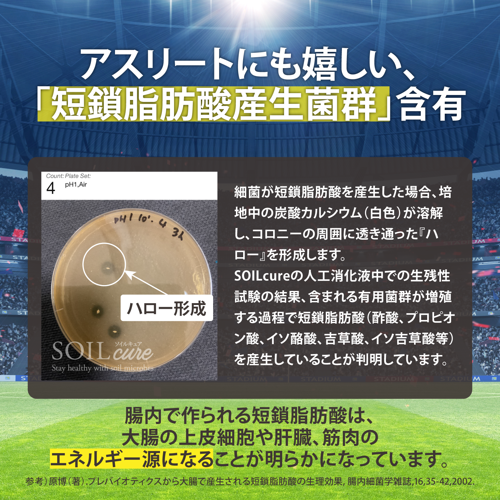 新品】SOIL cure パウダータイプ×3袋 【公式通販】 新品】SOIL cure パウダータイプ×3袋 【公式通販】