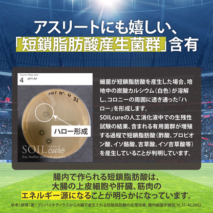 【短鎖脂肪酸生産菌含有 発酵大豆おから 菌の多様性に着目した健康サポート】カプセル 3ヶ月（3袋90粒）ファミリーバリューパック